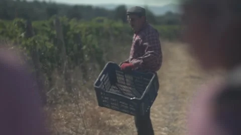 Agricultural workers Stock Footage 336010276