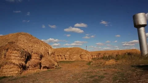 Agriculture 04 Stock Footage 18107311