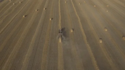 Agriculture 06 Stock Footage 91820284