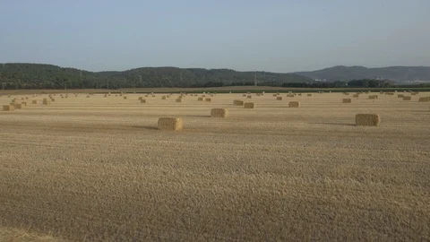 Agriculture 07 Stock Footage 91820604
