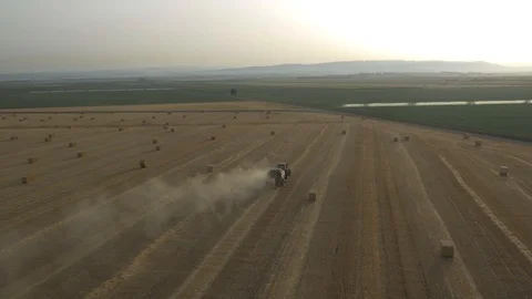 Agriculture 08 Stock Footage 91820060