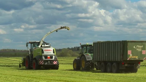 Agriculture 1 Video stock 135943046