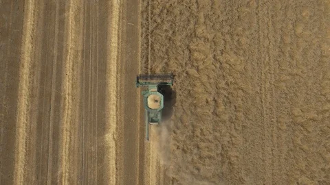 Agriculture 12 Stock Footage 91820997