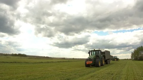 Agriculture 14 Video stock 135944516