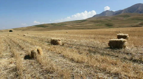 Agriculture 2 Video stock 854376