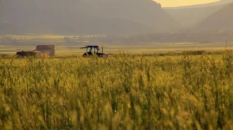 Agriculture 2 Stock-Footage 907756