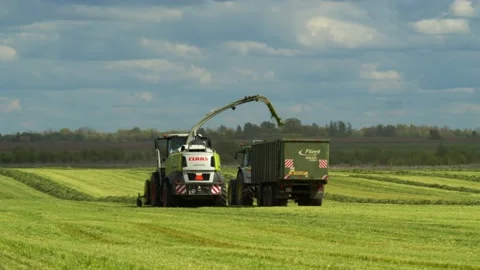 Agriculture 3 Video stock 135943024