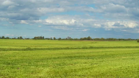 Agriculture 4 Video stock 135943042