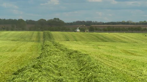 Agriculture 5 Video stock 135943034