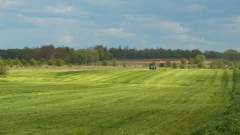 Agriculture 6 Video stock 135943052