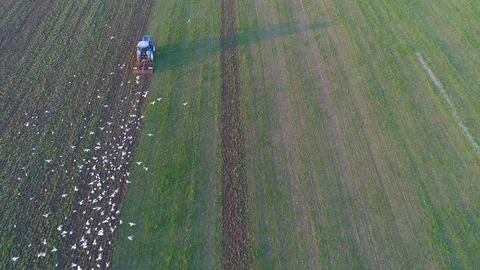 Agriculture Aerial Flight Over A Field Harvesting 4k Stock Footage