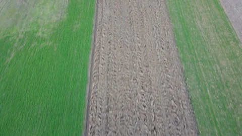 Agriculture Aerial Stock Footage 147232147