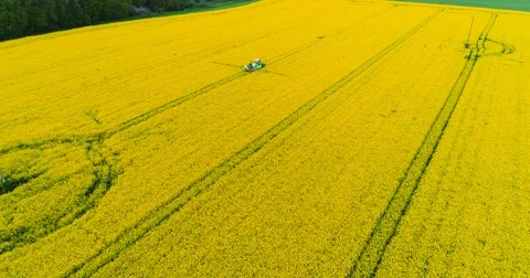 Agriculture Aerial Of Tractor Spraying field With Pesticides, Stock Footage