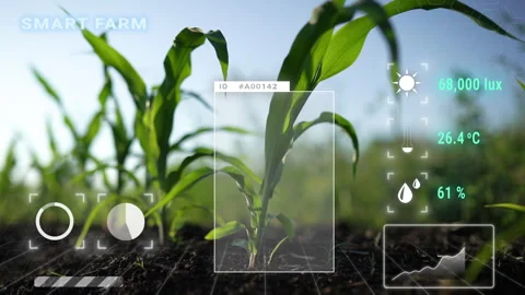 Agriculture AI digital technology, smart monitoring plant Stock Footage 339369576