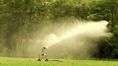 Agriculture, automatic irrigation Stock Footage 33319572