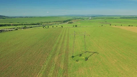 Agriculture background Stock Footage 108960590