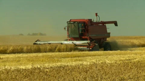 Agriculture, combine harvesting, #1 Stock Footage
