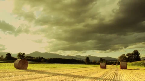 Agriculture composition Video stock 32692736
