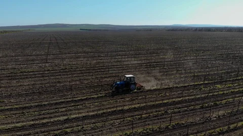 Agriculture concept. The tractor is doing the work. Vineyards Side view, 4K. 库存影片 129509758