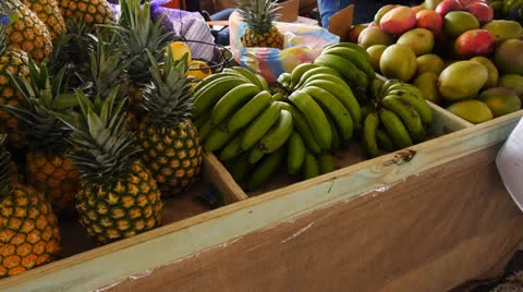 Agriculture crop food vegatable fruit fair market 2 Stock Footage