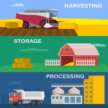 Agriculture design concept set with of the process harvesting crops Ilustración de archivo