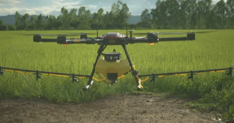 Agriculture drone taking off and flying over green rice paddy field start s.. Stock Footage 325804437