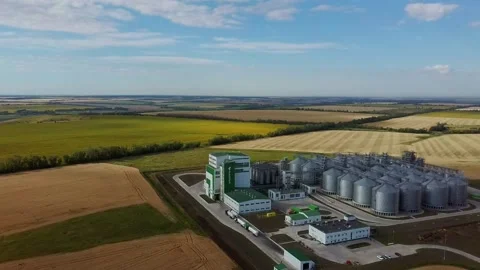 Agriculture, elevator, silos, grain, panorama Vidéo 137256533