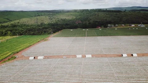 Agriculture evolving new farming operations in Formosa, Goiás, Brazil, showing Видео 332889092