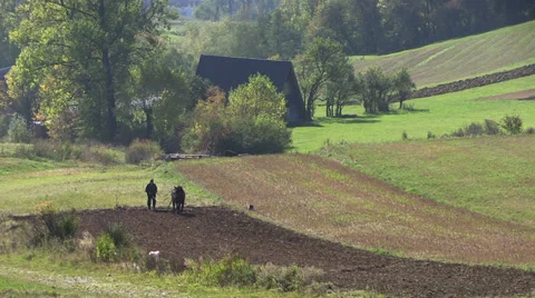 Agriculture, farmer plows the field using a simple plow Stock Footage 32595147