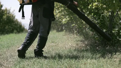 Agriculture farmer using a blower tool machine collecting the fallen hazelnut Stock Footage 240185740
