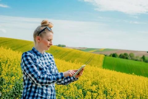 Agriculture Farmer Using Digital Tablet Examining Crops Stock Photos