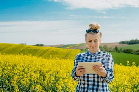 Agriculture Farmer Using Digital Tablet Examining Crops Stock Photos