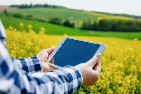 Agriculture Farmer Using Digital Tablet Examining Crops Stock Photos