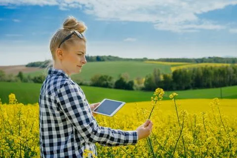 Agriculture Farmer Using Digital Tablet Examining Crops Stock Photos