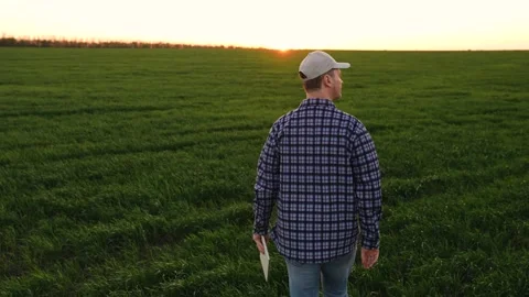 Agriculture farmer working digital tablet with hand sunset field, business Stock Footage 280974904
