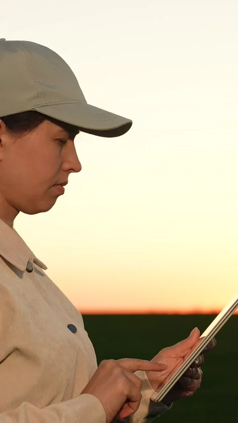 Agriculture farmer working digital tablet with hand sunset field, business Stock Footage 282890636