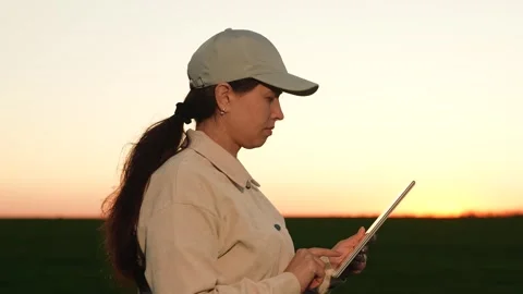 Agriculture farmer working digital tablet with hand sunset field, business Stock Footage 293671958