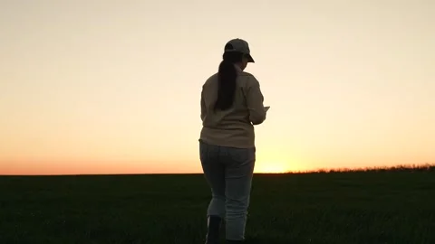 Agriculture farmer working digital tablet with hand sunset field, business Stock Footage 303225358