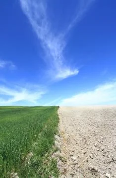 Agriculture field with cloudscape 스톡 사진