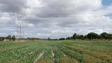 Agriculture Field Video stock 202655598