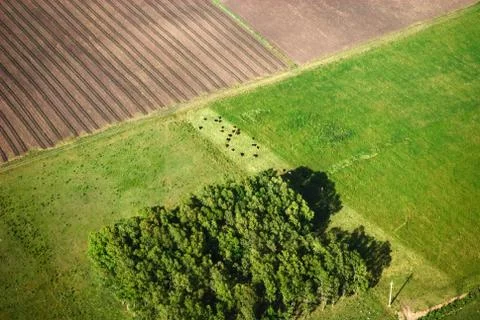 Agriculture fields from airplane Stock-Illustration