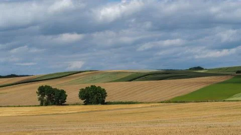 Agriculture fields an cloudy sky Foto stock