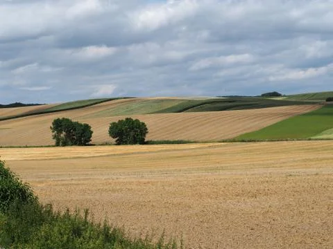 Agriculture fields an cloudy sky Stock Photos