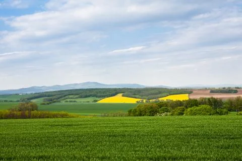 Agriculture fields composition Stock Photos