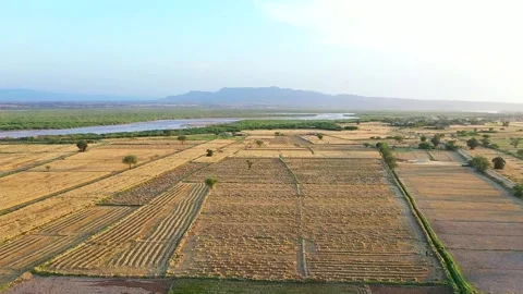 Agriculture fields drone shot Video stock 142345468