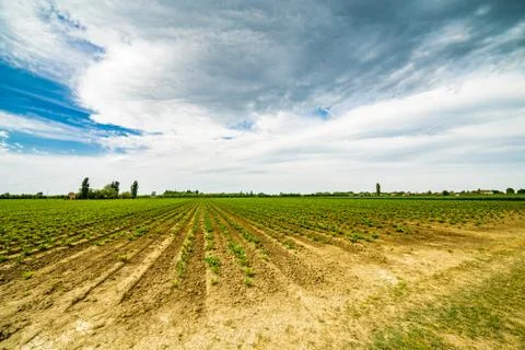 The agriculture fields of Emilia Romagna Stock Photos