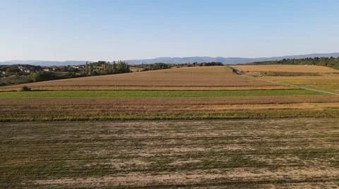 Agriculture fields Stock Photos