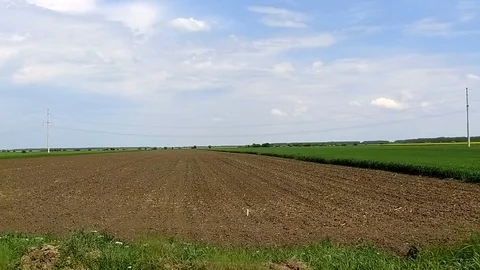 Agriculture fields with rape and wheat Video stock 108384998