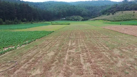 Agriculture fields with sowing and empty fields ready for sowing in Guatemala Stock Footage 140697044