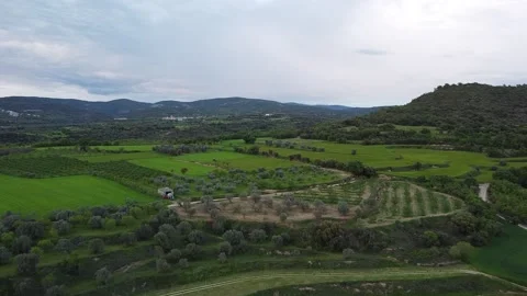 Agriculture Fields in Spain Stock Footage 146638257